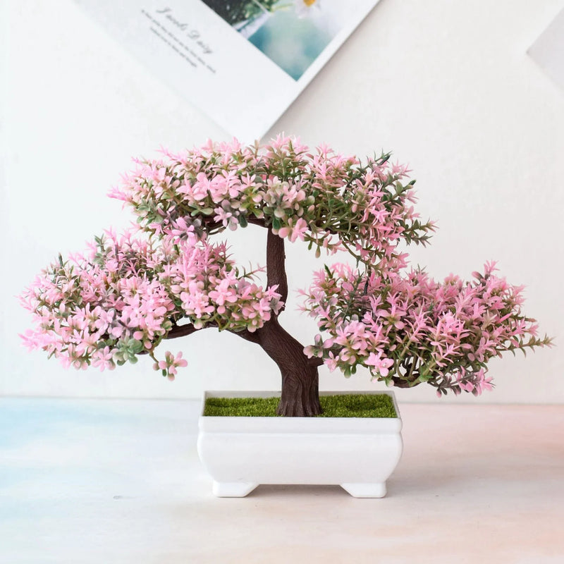 Árvores - Bonsai Sempiterno